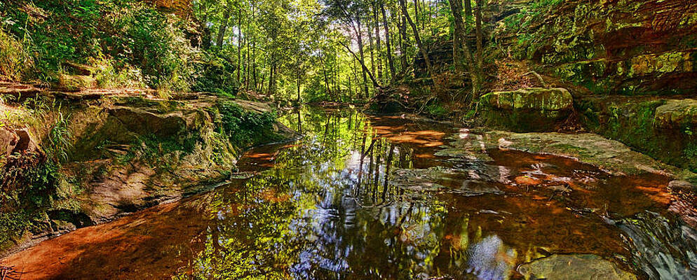Wall Art - Photograph - Tranquility Revisited by Leda Robertson