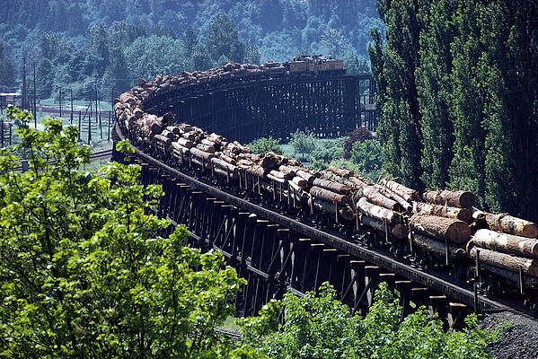 Wall Art - Photograph - Transporting Logs by Earl Roberge