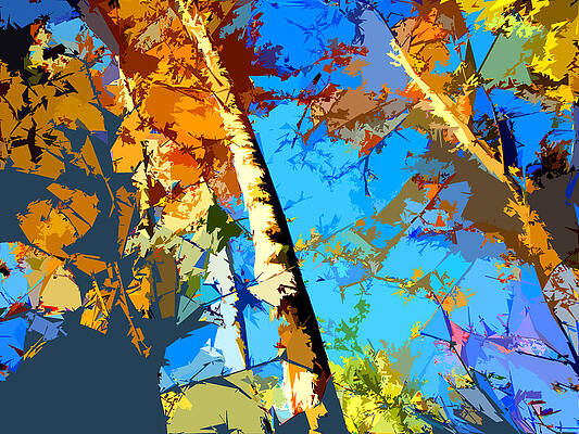 Wall Art - Photograph - Tree Abstraction #10 by John Lautermilch