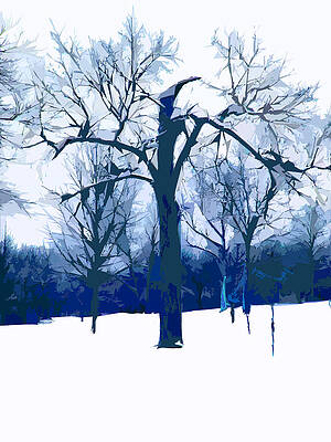 Wall Art - Photograph - Tree Abstraction #13 by John Lautermilch