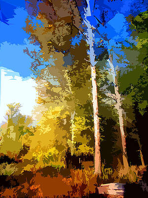 Wall Art - Photograph - Tree Abstraction #8 by John Lautermilch