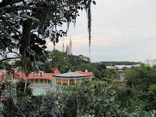 Tree House View by Michael Knight