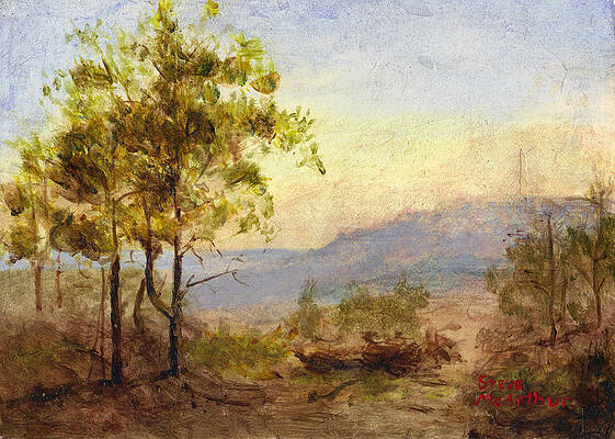 Tree In The Mountains by Steve McArthur