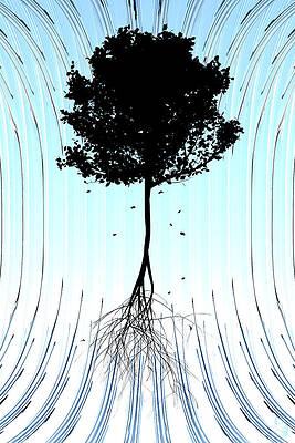 Tree by Matthew Lindley Tree by Matthew Lindley