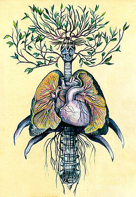 Tree of Life by Michael Volpicelli Tree of Life by Michael Volpicelli