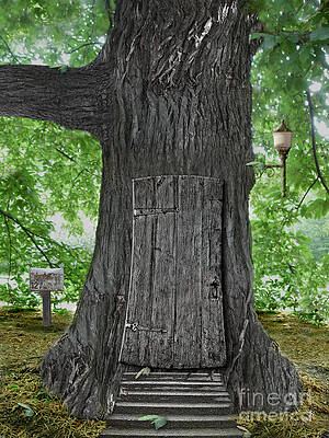 Wall Art - Photograph - Treehouse Door by Mike Agliolo