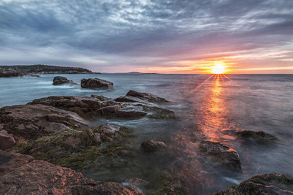 Trembling on the Shore by Jon Glaser Trembling on the Shore by Jon Glaser