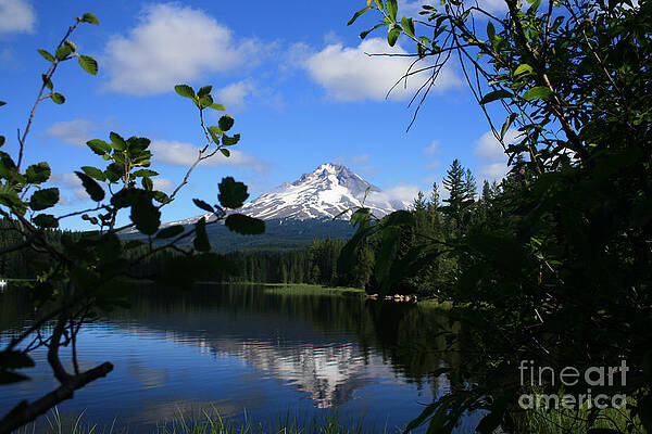 Trillium Lake with Mt. Hood by Ian Donley Trillium Lake with Mt. Hood by Ian Donley