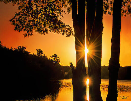 Triple Sunburst Morning by Peg Runyan Triple Sunburst Morning by Peg Runyan