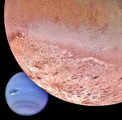 Wall Art - Photograph - Triton and Neptune by Benjamin Yeager
