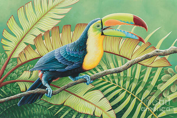Tropical Toucan by Tish Wynne Tropical Toucan by Tish Wynne