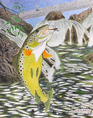 Wall Art - Drawing - Trout Stream In May by Gerald Strine