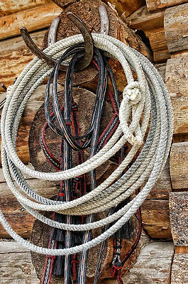 Trusty Lasso by Jody Lovejoy Trusty Lasso by Jody Lovejoy