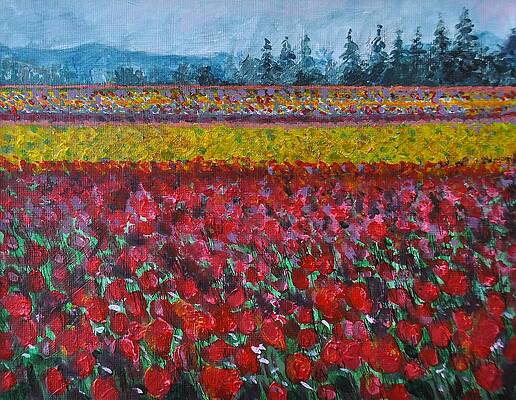 Tulip Field by K C Lynch Tulip Field by K C Lynch