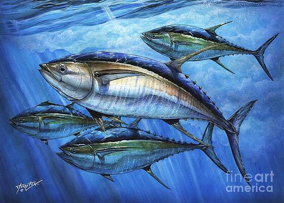 Tuna In Advanced by Terry Fox Tuna In Advanced by Terry Fox