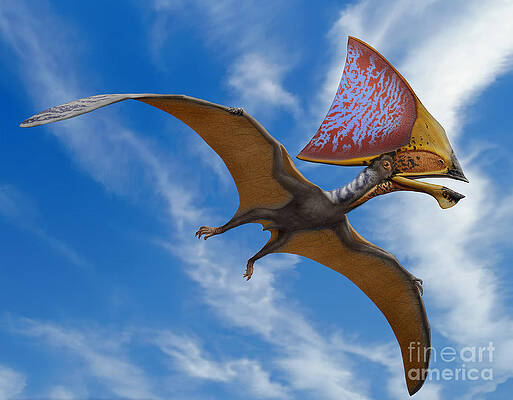 Wall Art - Digital Art - Tupandactylus Imperator, A Pterosaur by Sergey Krasovskiy