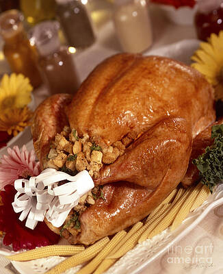 Wall Art - Photograph - Turkey with Stuffing and Corn by Iris Richardson