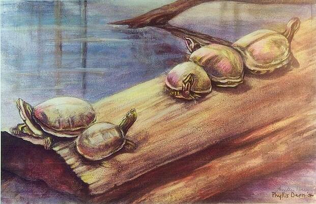 Turtle Gathering by Phyllis Dunn Turtle Gathering by Phyllis Dunn