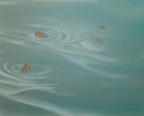 Turtle Pond II by Edward Maldonado Turtle Pond II by Edward Maldonado