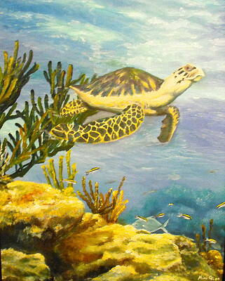 Turtle Sea by Michell Givens Turtle Sea by Michell Givens