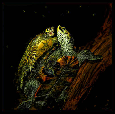 Turtle Tango by Lucy VanSwearingen Turtle Tango by Lucy VanSwearingen