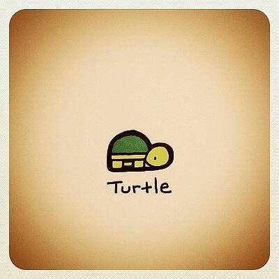 Wall Art - Photograph - Turtle by Turtle Wayne