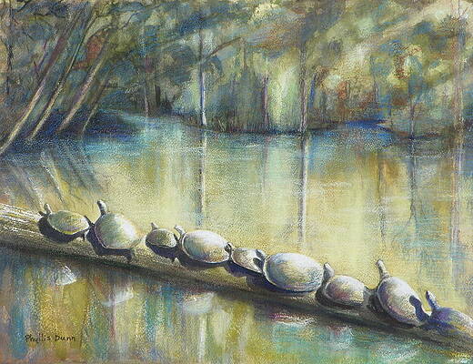 Turtles on a Log by Phyllis Dunn Turtles on a Log by Phyllis Dunn