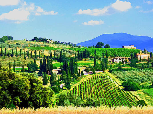 Tuscany Charm by Rochelle Berman Tuscany Charm by Rochelle Berman
