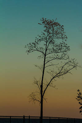 Wall Art - Photograph - Twilight by SAURAVphoto Online Store