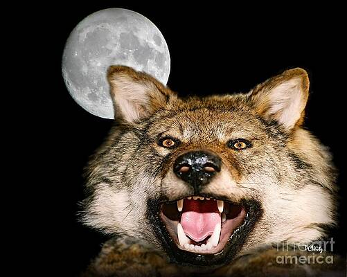 Wall Art - Photograph - Twilight's Full Moon by Patrick Witz