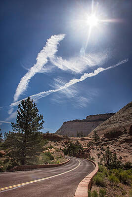 Twisted Paths by Dwight Theall Twisted Paths by Dwight Theall