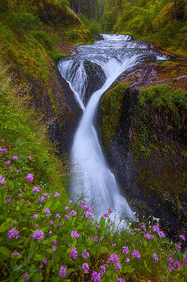 Wall Art - Photograph - Twister Falls by Darren White