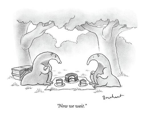 Wall Art - Drawing - Two Anteaters On A Picnic Wait For Ants To Come by David Borchart