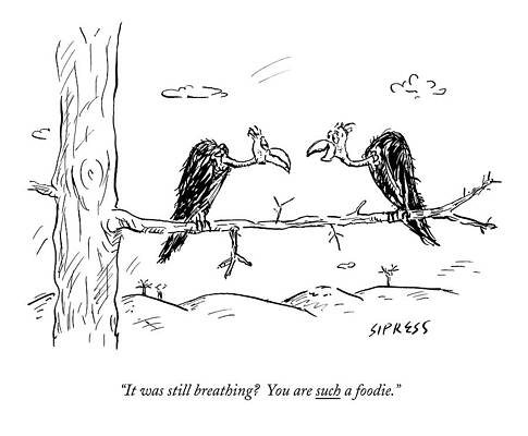 Wall Art - Drawing - Two Buzzards Sit And Talk On A Branch by David Sipress