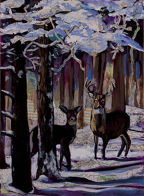Two deer in snow in woods by Tilly Strauss Two deer in snow in woods by Tilly Strauss