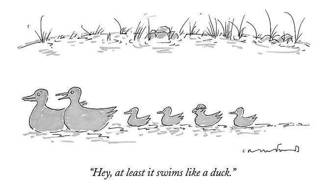 Wall Art - Drawing - Two Ducks Lead A Line Of Four Ducklings by Michael Crawford