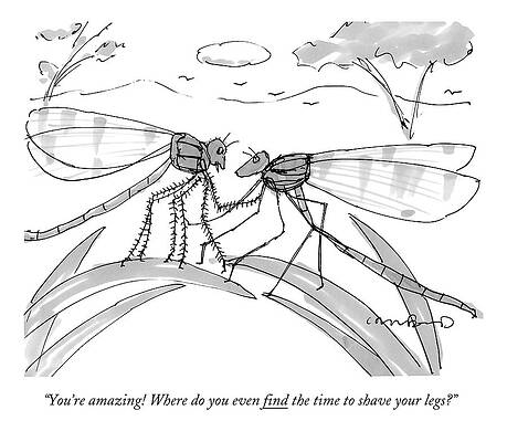 Wall Art - Drawing - Two Flies In A Relationship Discussing by Michael Crawford