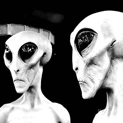 Wall Art - Digital Art - Two Grey Aliens Science Fiction Square Format Black and White Conte Crayon Digital Art by Shawn O'Brien