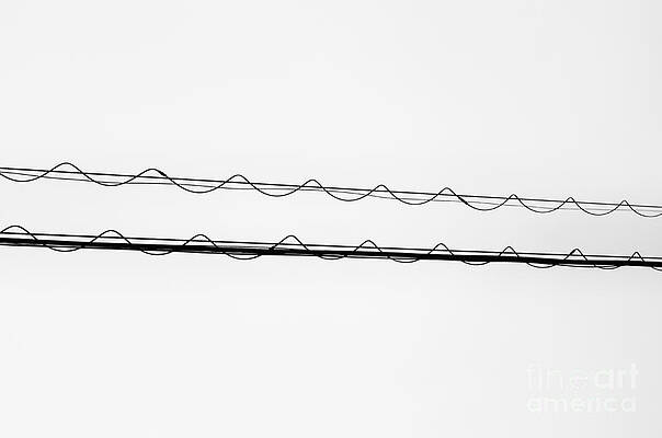 Wall Art - Photograph - Two Hearts Beating as One by Dean Harte