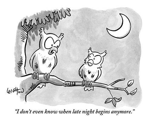 Wall Art - Drawing - Two Owls Sit On A Tree Branch Talking To Each by Robert Leighton