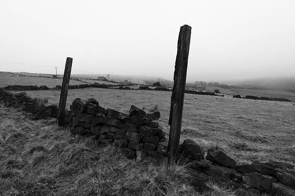 Two posts by David Isaacson Two posts by David Isaacson