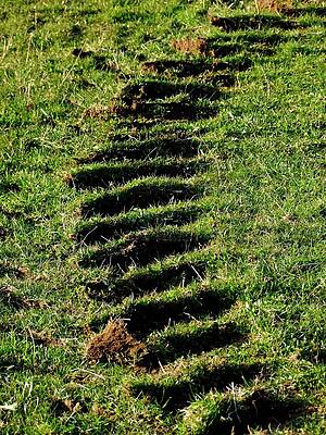 Wall Art - Photograph - Tyre Marks On Grass by Science Photo Library