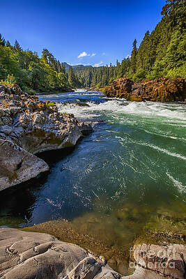 Umpqua River by David Millenheft Umpqua River by David Millenheft