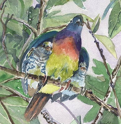 Under Her Wings by Mindy Newman Under Her Wings by Mindy Newman