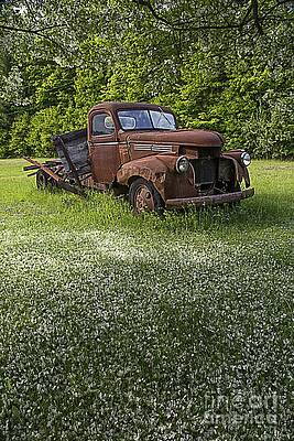 Wall Art - Photograph - Under the Crab Apple Tree by Edward Fielding