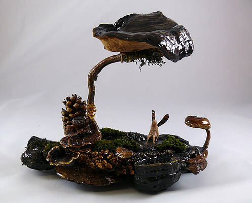 Under the Mushroom Tree by Debra LaPointe