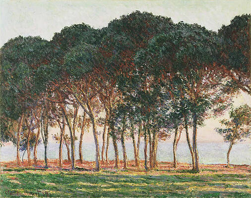 Under the Pines. Evening Print by Claude Monet