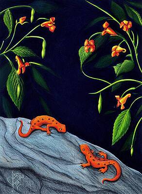 Understory by Danielle R T Haney Understory by Danielle R T Haney