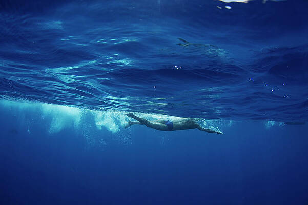 Wall Art - Photograph - Underwater View Of A Swimmer Enjoying by Krystle Wright