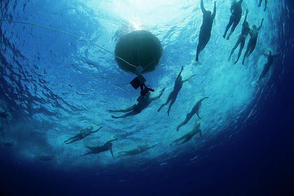 Wall Art - Photograph - Underwater View Of Swimmers Rounding by Krystle Wright